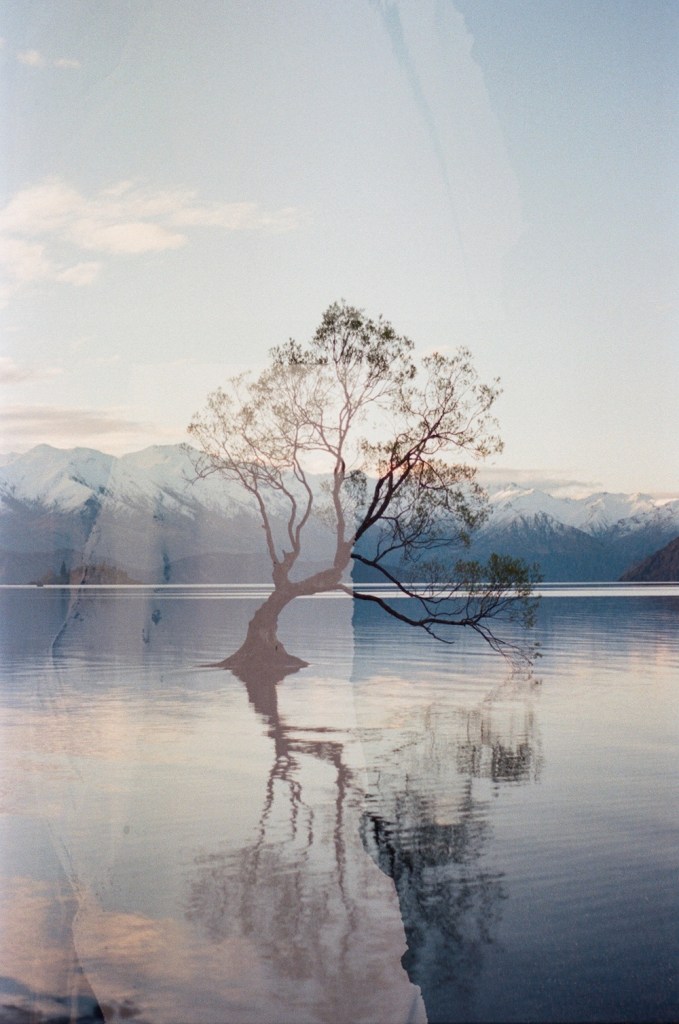 Wanaka on Rob Roy Glacier, 2018