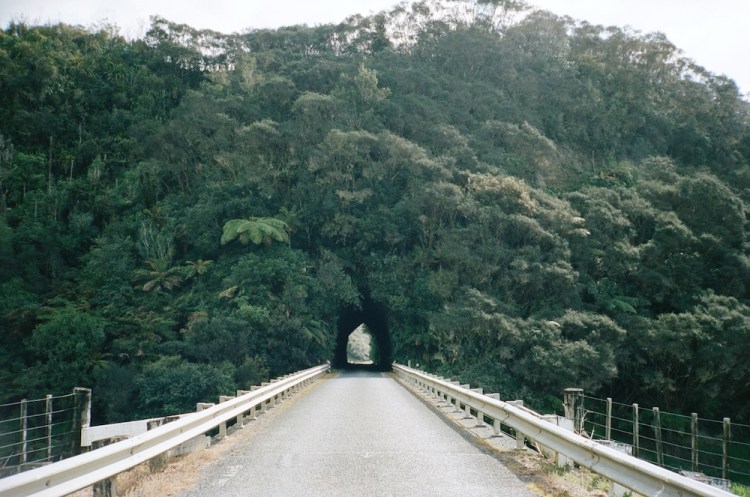 Okau, Te Ika a Maui, 2018